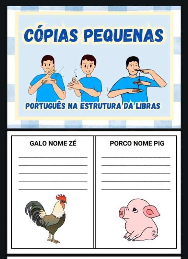 Treino de leitura com cópia - Estrutura da libras - Imagem 4