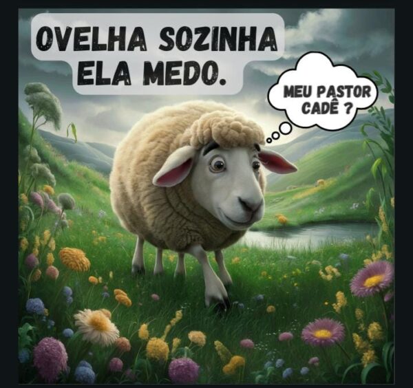 KIT CULTO INFANTIL PARA SURDOS – A OVELHA PERDIDA 🐑💛 (Bilíngue e Inclusivo) - Imagem 3