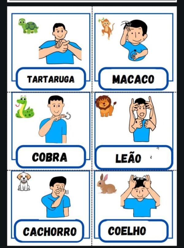 Bingo dos Animais – Bilíngue em Libras e Português - Imagem 4