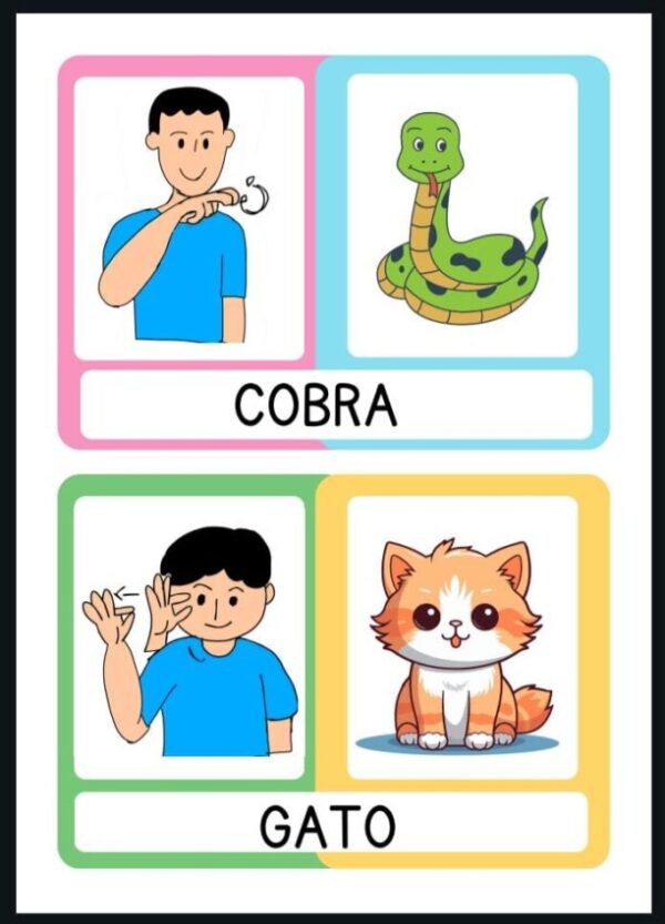 🦁kit Animais em Libras - Imagem 4