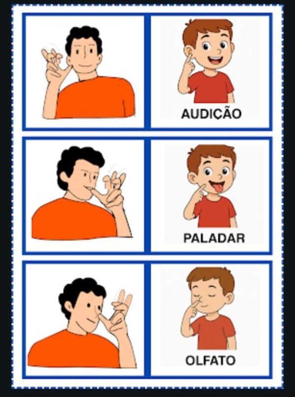 5 Sentidos Bilingue - Imagem 3