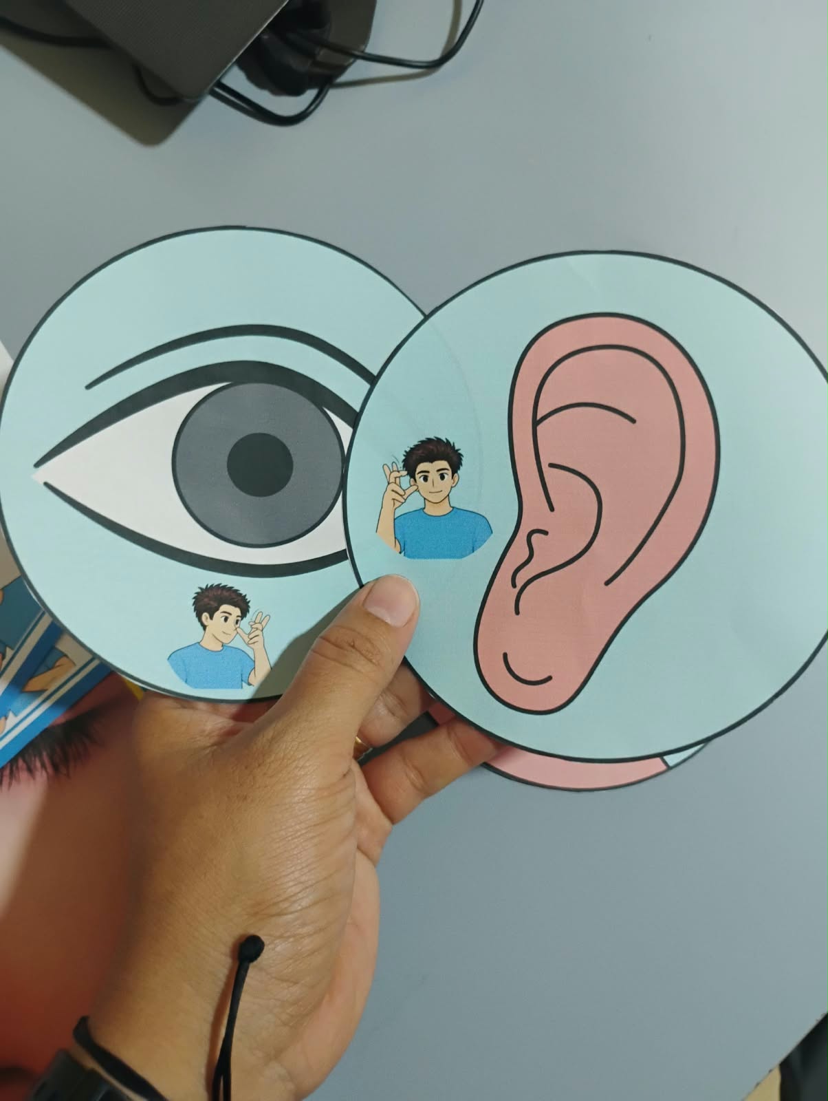 Kit Bilíngue Os Cinco Sentidos em Libras e Português - Imagem 9