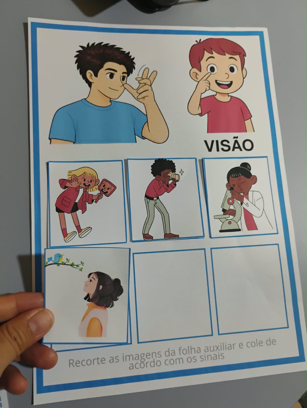 Kit Bilíngue Os Cinco Sentidos em Libras e Português - Imagem 4
